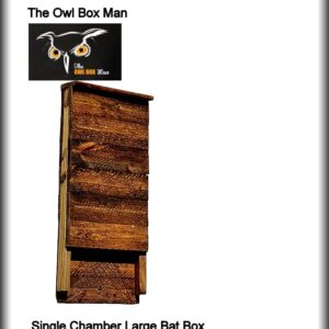 Bat Habitat