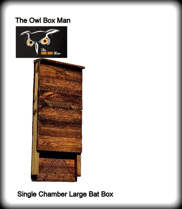 Bat Habitat