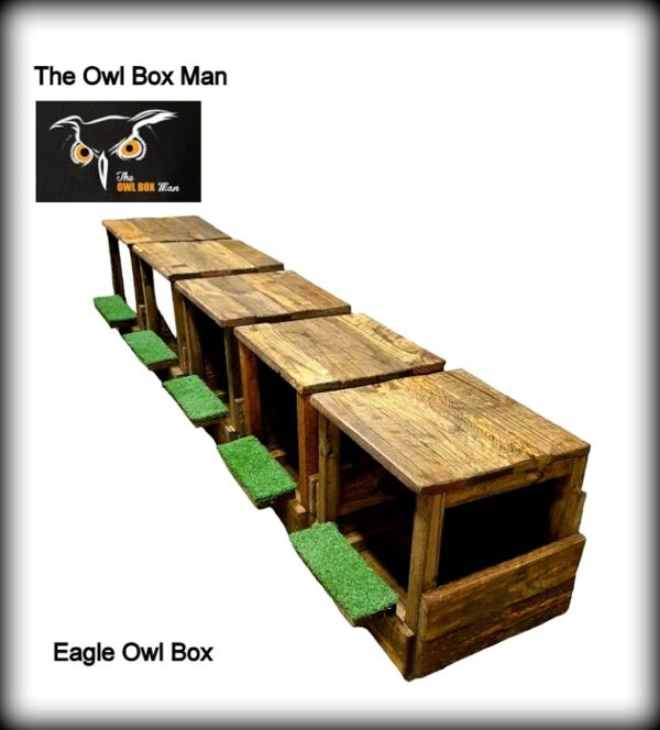 Eagle Owl Habitat Box