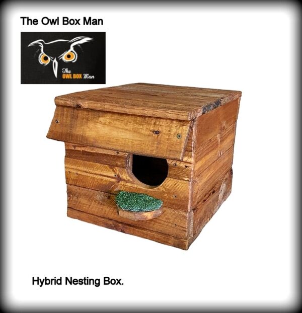 Hybrid Habitat Box: Ideal for Barn Owls, Kestrels & Falcons