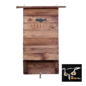 Bat Habitat